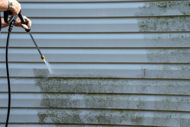 Best Same-Day Junk Removal Services  in Louisville, KY