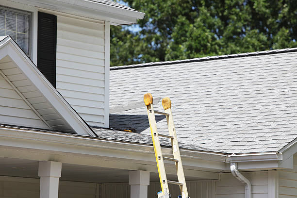 Best Demolition Debris Removal  in Louisville, KY